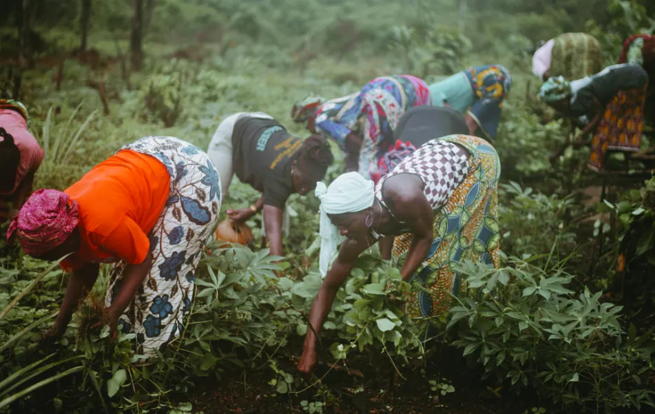 Save the Planet community members planting trees together in Njombe, Tanzania