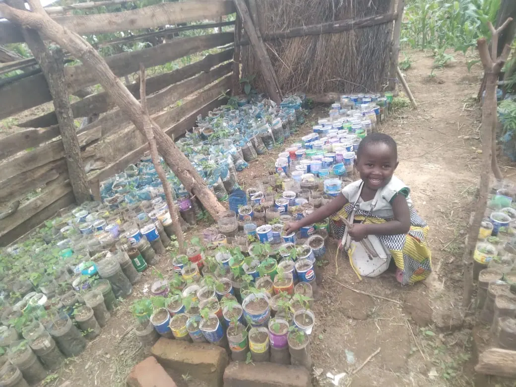 Seedlings grown in reused plastic bottles collected from the community